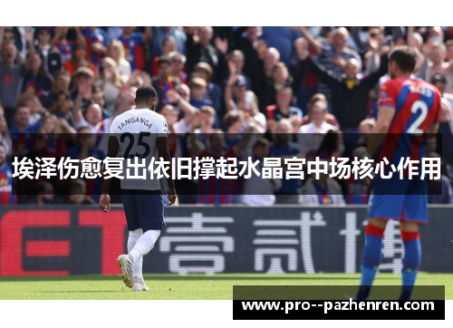 埃泽伤愈复出依旧撑起水晶宫中场核心作用