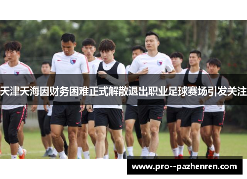 天津天海因财务困难正式解散退出职业足球赛场引发关注