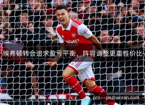 埃弗顿转会追求盈亏平衡，阵容调整更重性价比
